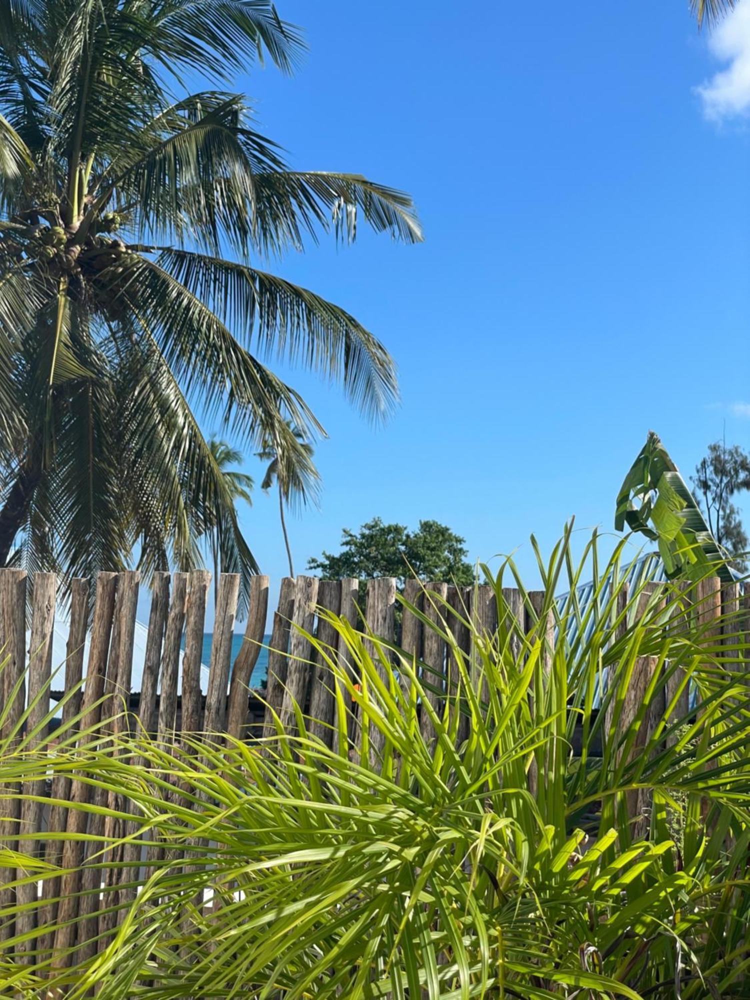 Maison Boheme Bed & Breakfast Nungwi Ngoại thất bức ảnh